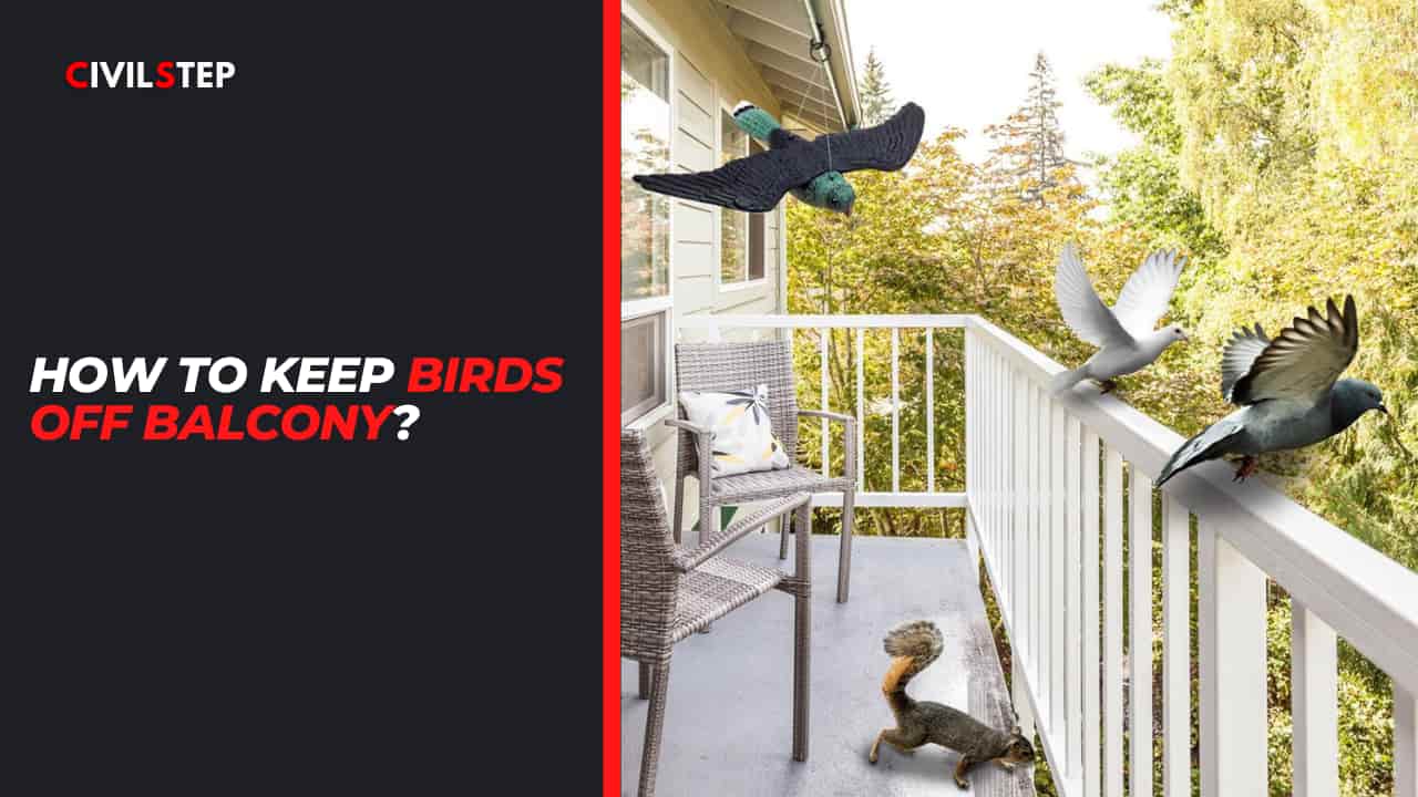 How to Keep Birds Off Balcony