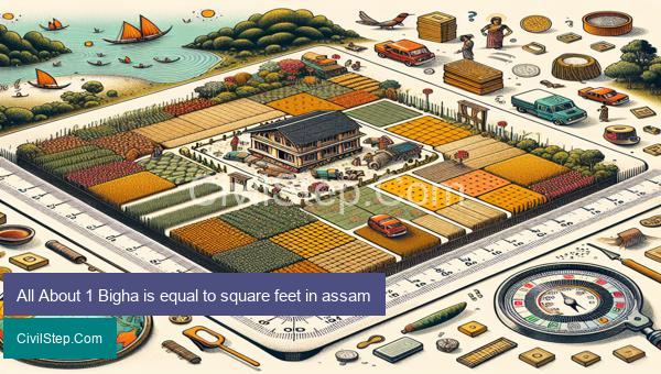 All About 1 Bigha is equal to square feet in assam